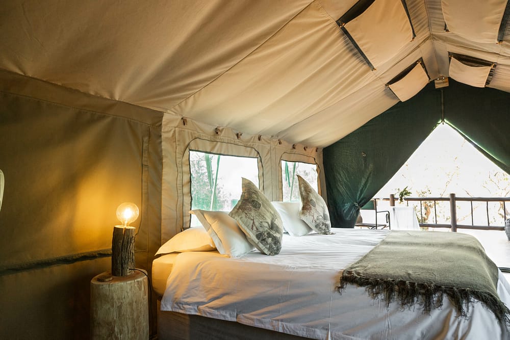 Nyala and Eland Tent-11 Nyala and Eland Tent-11