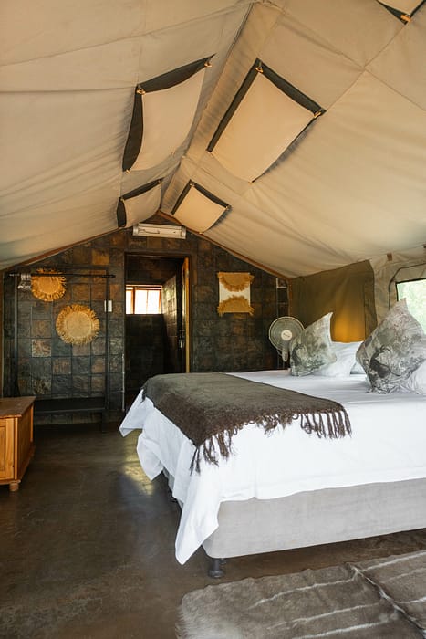 Nyala and Eland Tent-4